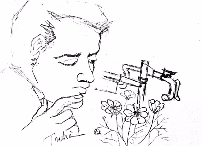 Long lanh sương mai