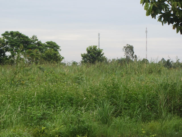 Nhiều diện tích đất trong Khu dân cư thương mại 586 Hậu Giang bỏ hoang, lãng phí như thế này.