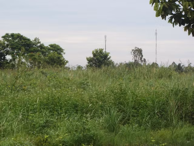 Nhiều diện tích đất trong Khu dân cư thương mại 586 Hậu Giang bỏ hoang, lãng phí như thế này.