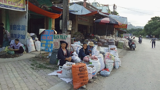 Thuốc nam được bán phổ biến ở chợ Bến.