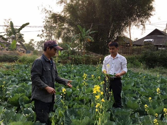 Cán bộ xã Hua Nà, huyện Than Uyên (Lai Châu) hướng dẫn người dân kỹ thuật trồng, chăm sóc cây hoa màu.