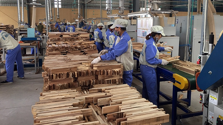 Dây chuyền sản xuất gỗ xuất khẩu của Công ty cổ phần Woodslands Tuyên Quang.