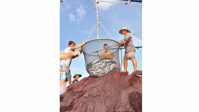 Ngư dân giản dị nhưng luôn kiên cường, nghĩa hiệp.