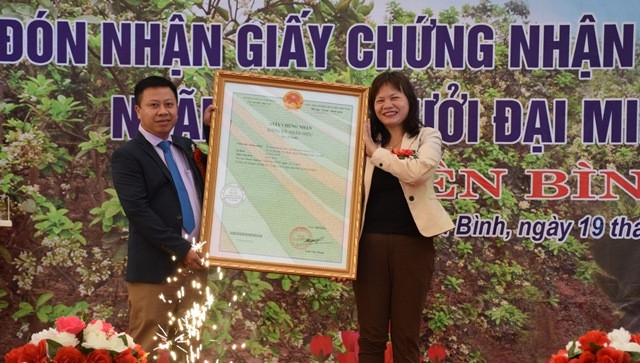 Bưởi Đại Minh được cấp chứng nhận nhãn hiệu