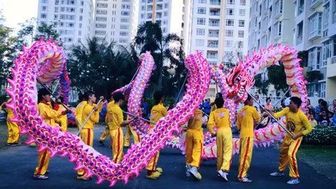 Biểu diễn múa lân sư rồng của đồng bào người Hoa ở TP Hồ Chí Minh.