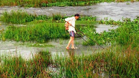 Ruộng bỏ hoang, nông dân Lệ Thủy rỗi việc dùng bộ kích điện... kiếm cá