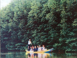 Dạo thuyền thăm Đầm Dơi.