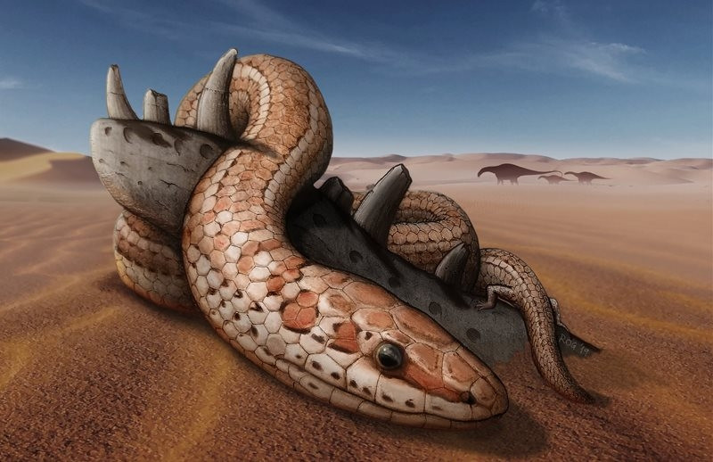 Phác thảo loài rắn cổ đại Najash.