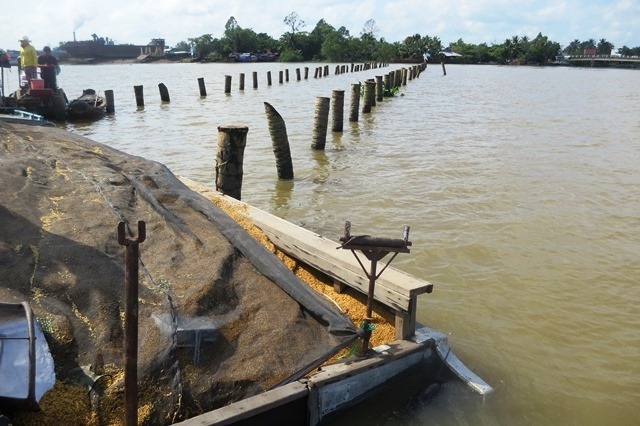 Chiếc ghe chở 26 tấn lúa vướng vào cọc ngầm dẫn đến chìm vào rạng sáng 12-10.