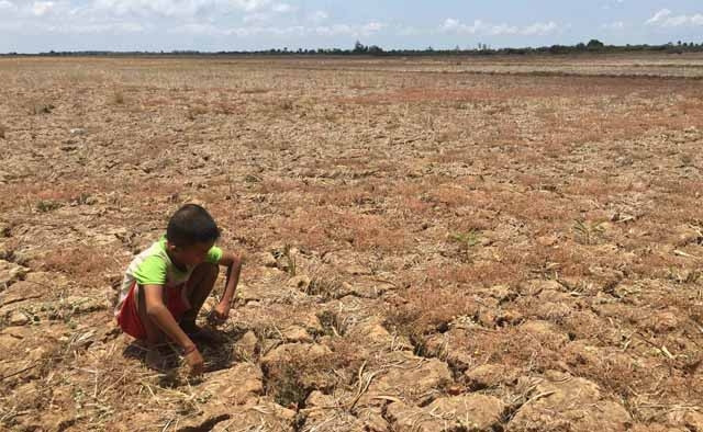 Đi qua cơn bão khát