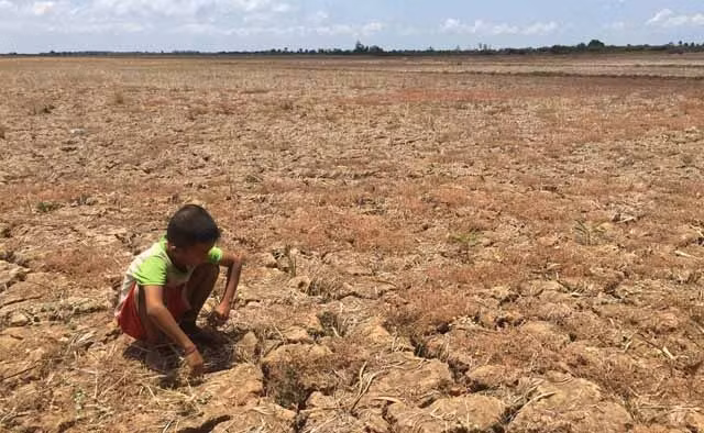 Đi qua cơn bão khát