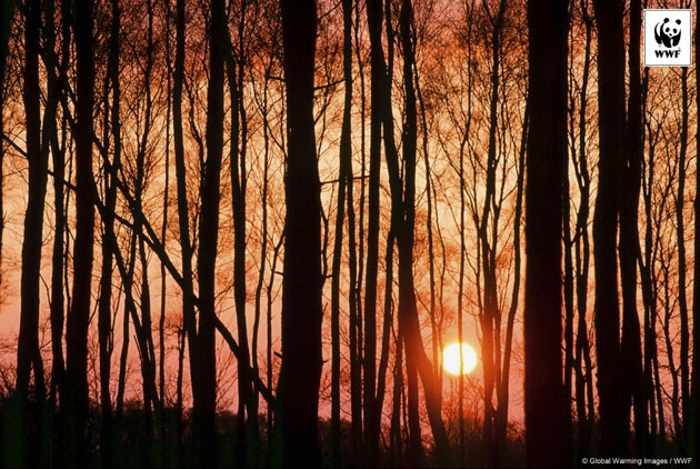 Năm 2016 được ghi nhận là năm nóng nhất trong lịch sử 