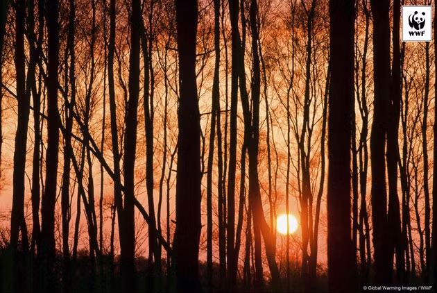 Năm 2016 được ghi nhận là năm nóng nhất trong lịch sử 