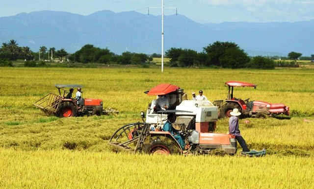 Nông dân xã Phước Thái, huyện Ninh Phước, tỉnh Ninh Thuận thu hoạch lúa vụ đông xuân 2017-2018.