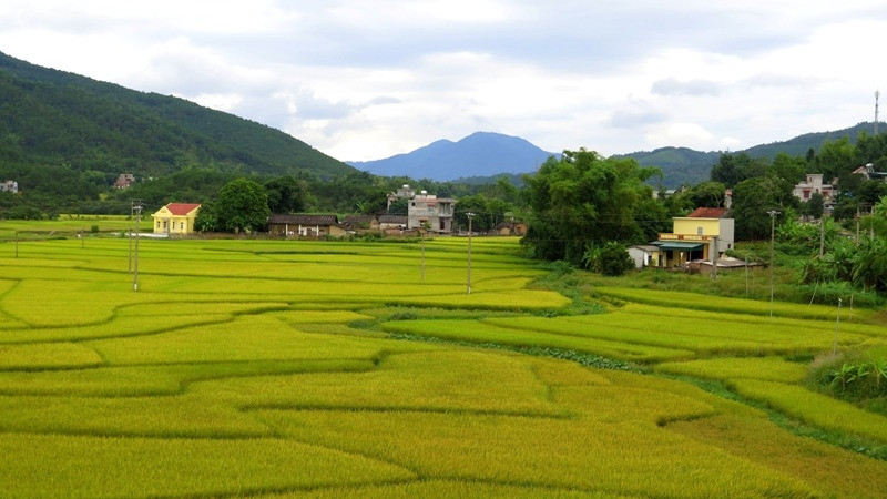 Bản làng như trong tranh.