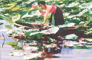 Trên đầm sen Quảng Bá - Hồ Tây (Hà Nội)