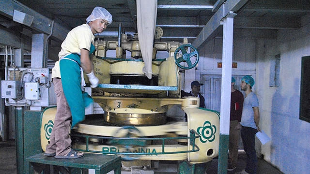 Sản xuất trà Silver Tips Imperial. Ảnh: WORD PRESS