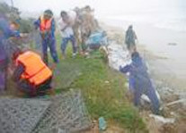 Gia cố đê
biển Thuận An 2005.