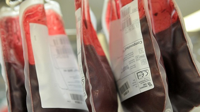 Ảnh: DONATEBLOOD