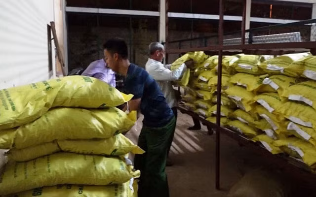 Kho giống cây trồng giả của Công ty TNHH sản xuất và dịch vụ giống cây trồng Thái Bình ở huyện Tuyên Hóa (Quảng Bình).