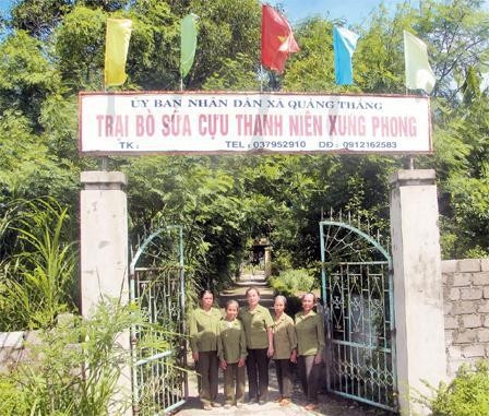 Những nữ cựu TNXP trong trang trại bò sữa.