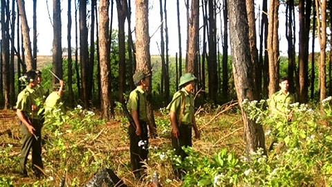 Lực lượng kiểm lâm Đắc Lắc tuần tra bảo vệ rừng.