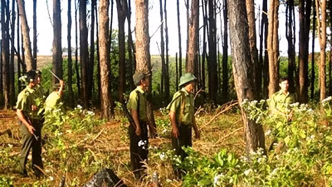 Lực lượng kiểm lâm Đắc Lắc tuần tra bảo vệ rừng.