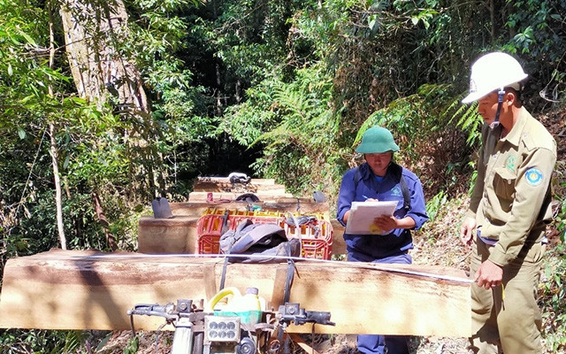 Lực lượng chức năng đang kiểm đếm tang vật