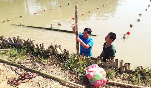 Xứng danh anh Bộ đội Cụ Hồ