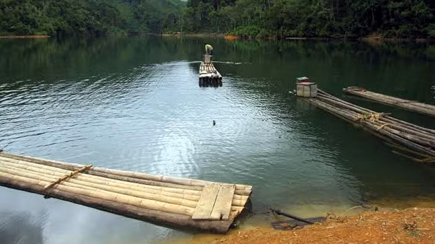 Người dân có 90 bè, mảng để hằng ngày đi lại trên hồ Khuổi Khe.