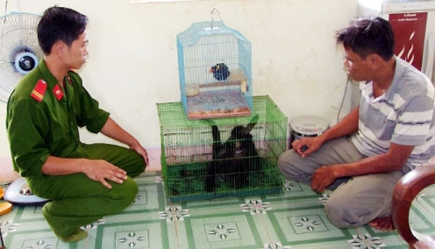 Thu giữ cá thể vượn bạc má mầu trắng đen và con nhồng tại phòng trọ đối tượng Đặng Anh Tuấn ở xã Đác Ru.