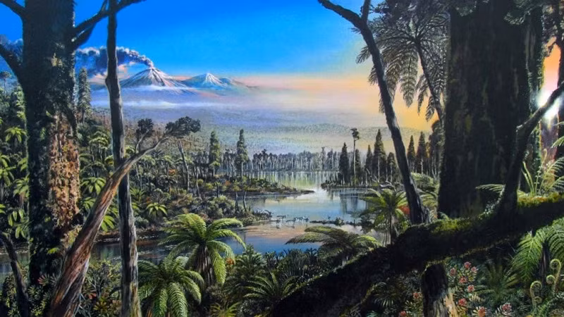 Khoảng từ 92 triệu đến 83 triệu năm trước, từng có một rừng mưa nhiệt đới ẩm ướt cách Nam Cực khoảng 1.000km. (Ảnh tái dựng).