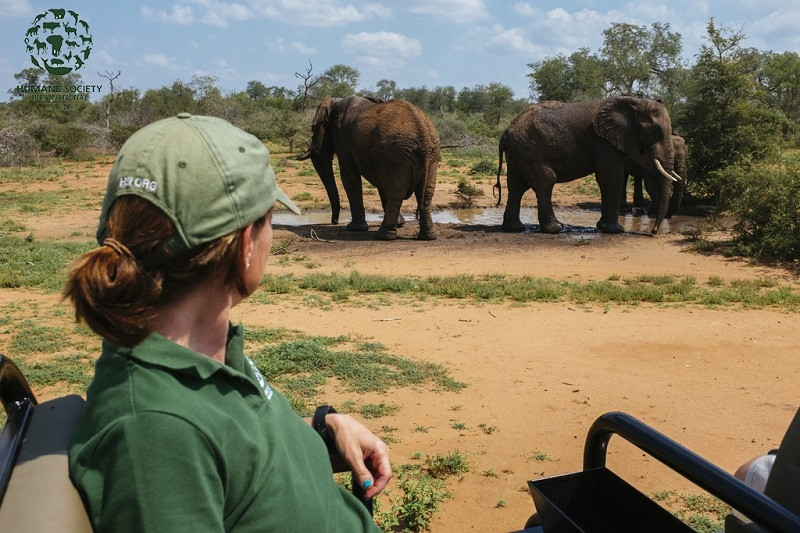 Chỉ nên ngắm những loài hoang dã trong tự nhiên.