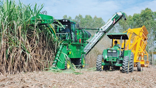 Cơ giới hóa liệu có giúp người trồng mía trước nguy cơ thua lỗ nặng?