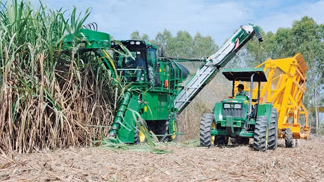 Cơ giới hóa liệu có giúp người trồng mía trước nguy cơ thua lỗ nặng?
