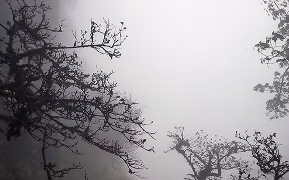 Phần thưởng ngọt ngào cho khát vọng hoang sơ