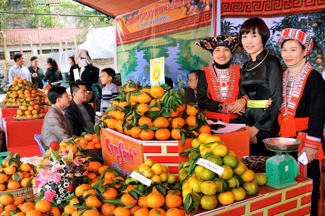 Sản phẩm cam sành Hàm Yên ngày càng được khách hàng trong và ngoài tỉnh ưa chuộng. Ảnh: DUY HÙNG