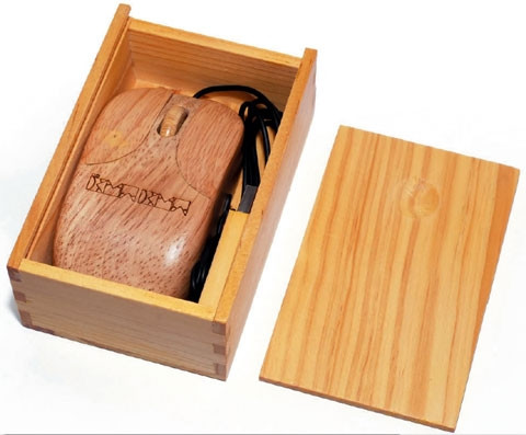 Chuột gỗ húc tường