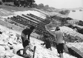 Lát mái kè Bạch Hạc (Phú Thọ).