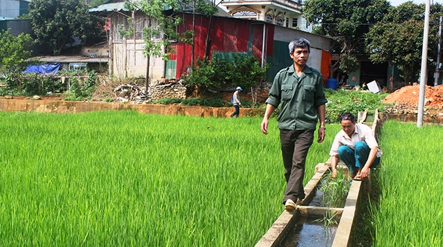 Công trình thủy lợi bằng bê-tông góp phần nâng cao hiệu quả sản xuất nông nghiệp.