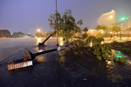 Nhiều cây xanh tại khu vực Mỹ Đình (quận Nam Từ Liêm, Hà Nội) bị đổ trong trận mưa lớn vào trung tuần tháng 5. Ảnh: LÊ HIẾU