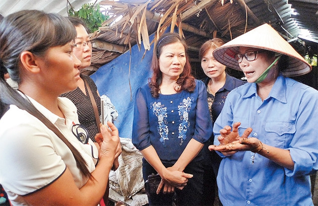 Bà Nguyễn Thị Liên (người ngoài cùng bên phải) giới thiệu cách nuôi giun quế.