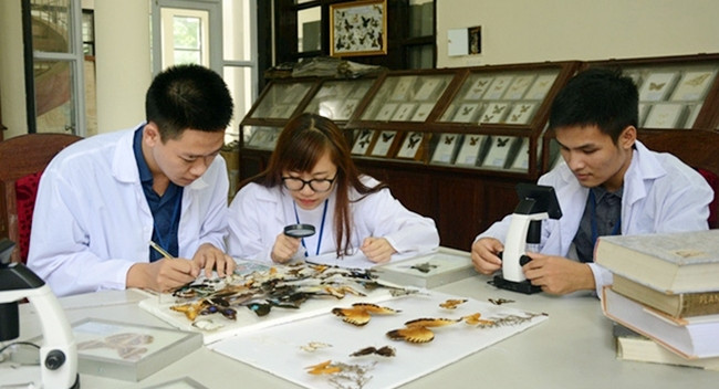 Giờ thực hành trong phòng thí nghiệm của sinh viên đào tạo theo chương trình tiên tiến tại Trường đại học Lâm nghiệp. Ảnh: THU HÀ