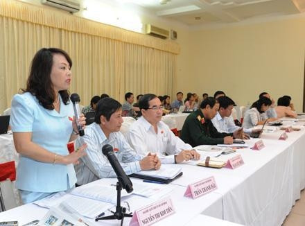 Ðoàn đại biểu Quốc hội TP Hồ Chí Minh thảo luận tại tổ.    