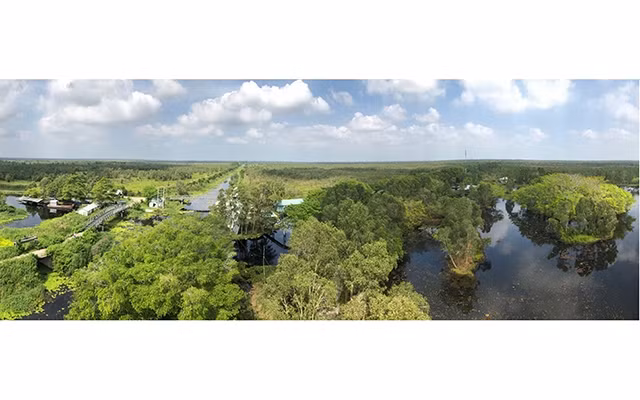 Rừng U Minh Thượng (Kiên Giang), một điểm đến thu hút khách du lịch.