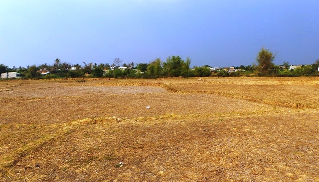 Đồng ruộng hạn hán tại xã Đoàn Kết, TP Kon Tum.