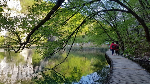 “Bức tranh sơn dầu” tuyệt sắc là có thật ở công viên quốc gia hồ Plitvice – Di sản thế giới.
