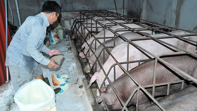 Đến năm 2020, Việt Nam sẽ dừng hẳn việc sử dụng kháng sinh trong chăn nuôi. 