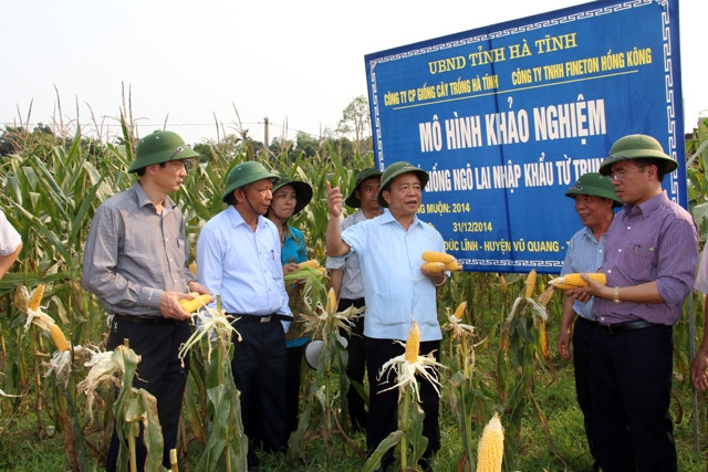 Đoàn kiểm tra Nông thôn mới đi thực tế tại Đức Lĩnh, Vũ Quang (Hà Tĩnh).