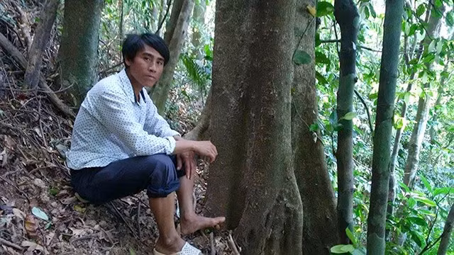 Trong cánh rừng ở thôn Húc Thượng (xã Húc, huyện Hướng Hóa, Quảng Trị), những cây gỗ lớn được đồng bào Vân Kiều bảo vệ hằng ngày.